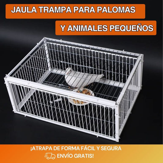 Trampa Inovadora para Aves – Captura Pájaros sin Lastimarlos