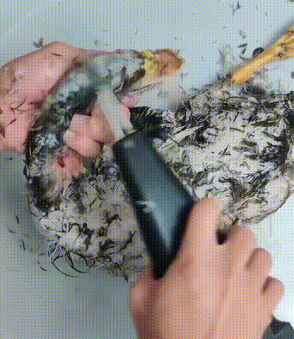 Plumero de Aves Portátil y Manual – Rápido, Cómodo y Eficiente